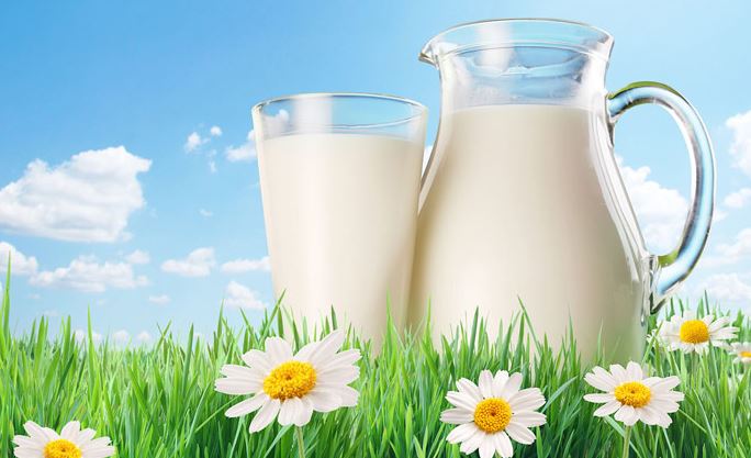 Il latte, alleato della salute