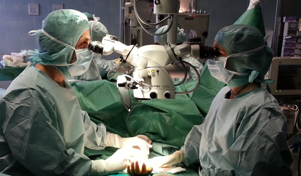 Microchirurgia Ricostruttiva, un corso per imparare a usare il microscopio operatorio