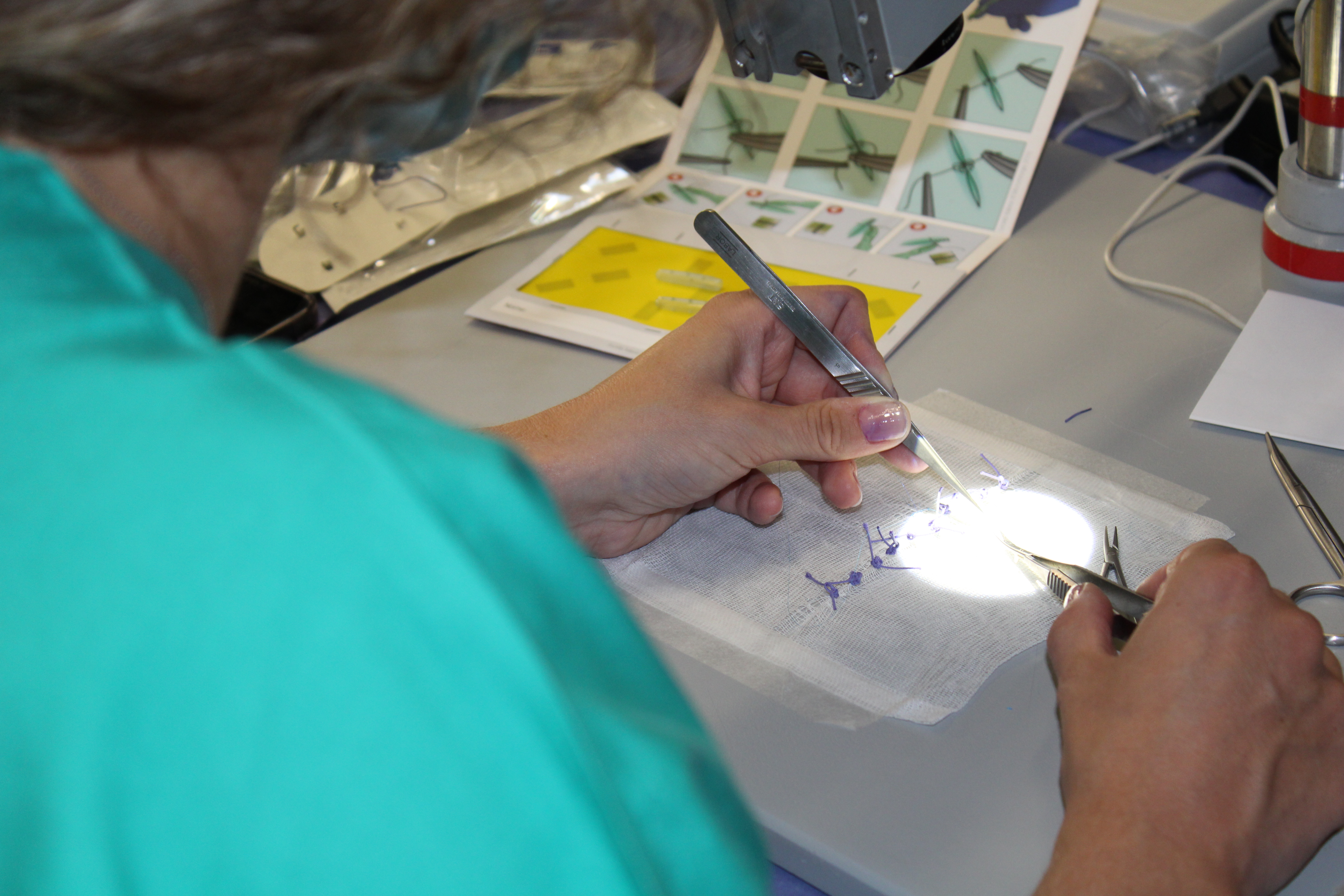 Giovani medici alle prese con la microchirurgia