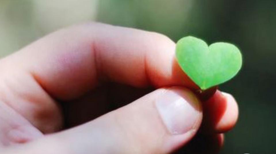 GIORNATA MONDIALE DEL CUORE 2024, LA BROCHURE DI ASST GAETANO PINI-CTO